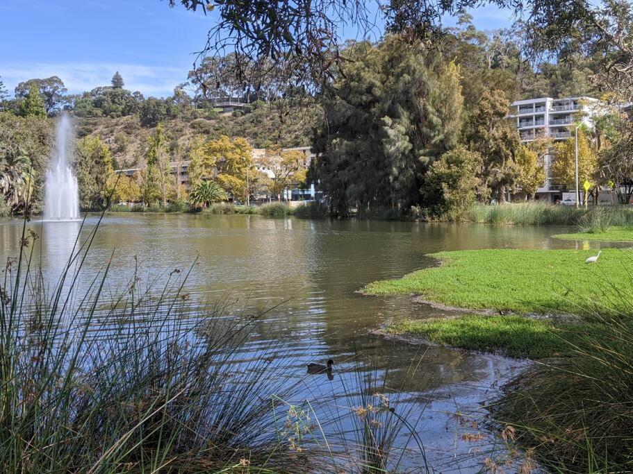 City & Lakeside With Free Parking, Pool And 10 Mins Walk Into The City 珀斯 外观 照片